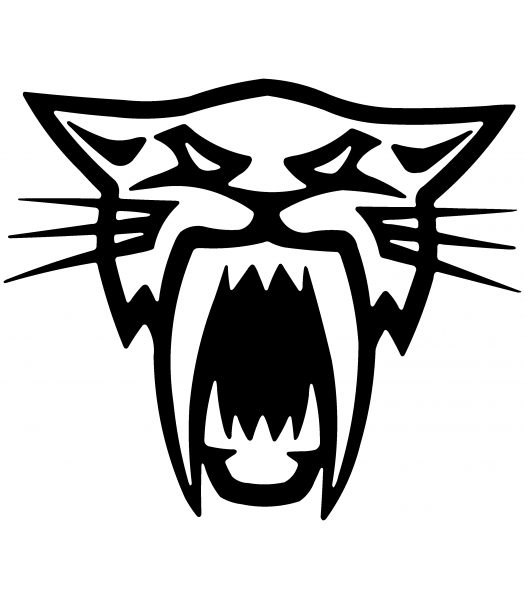 Artic Cat - Merken
