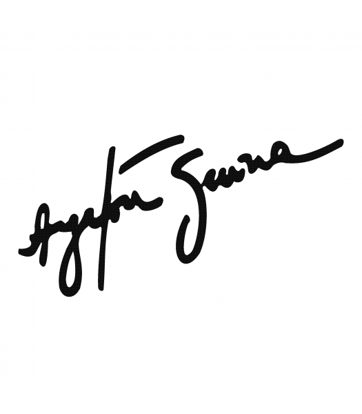 Ayrton Senna handtekening - Merken