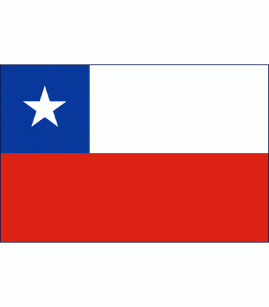 Chileense vlag - Vlaggen & Werelddelen