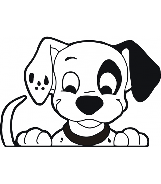 Dalmatier - Dieren & Natuur