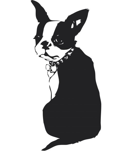 Dog - Dieren & Natuur