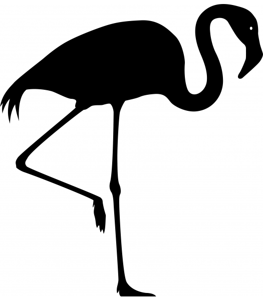 Flamingo - Dieren & Natuur
