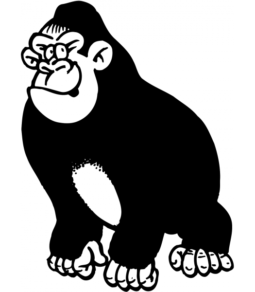 Gorilla - Dieren & Natuur