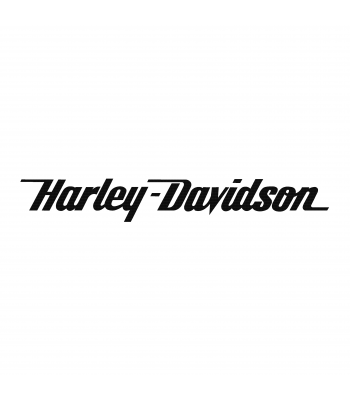 Harley Davidson2