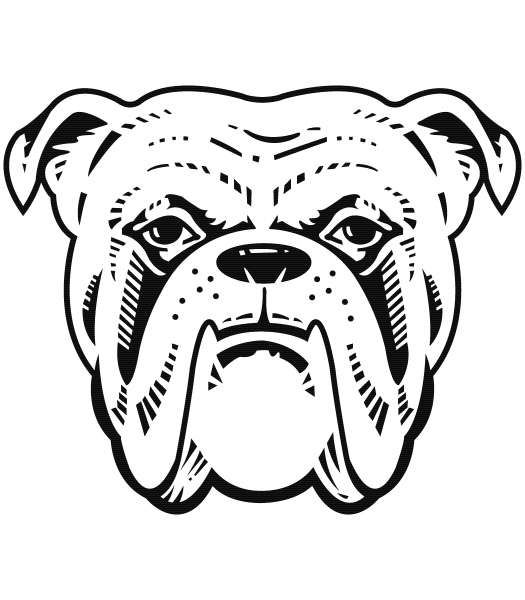Hond3 - Dieren & Natuur