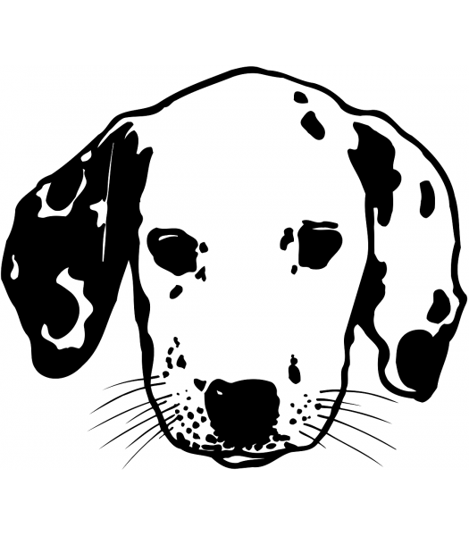 Hond5 - Dieren & Natuur