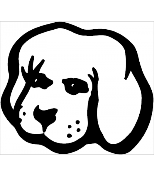 Hond6 - Dieren & Natuur