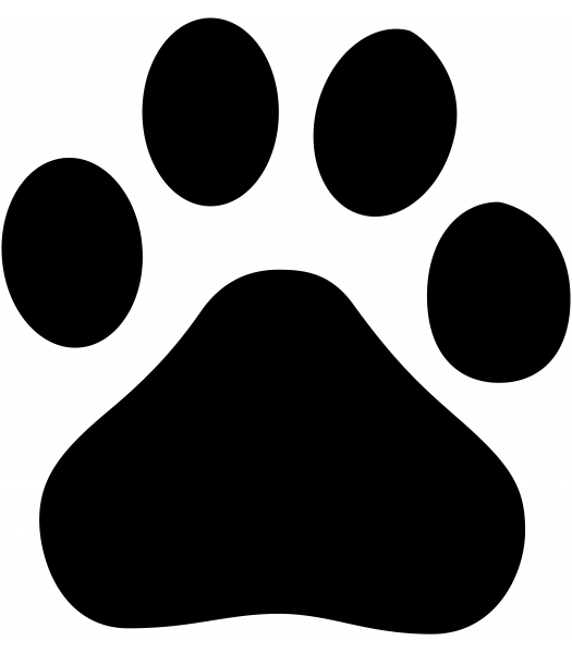 Hondenpoot - Dieren & Natuur