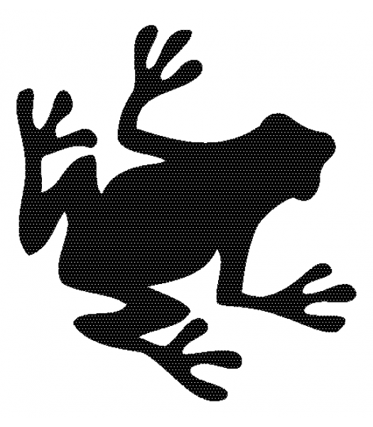 Kikker - Dieren & Natuur