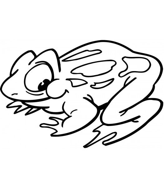 Kikker2 - Dieren & Natuur