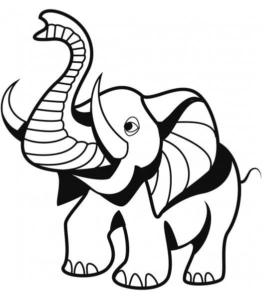Olifant - Dieren & Natuur