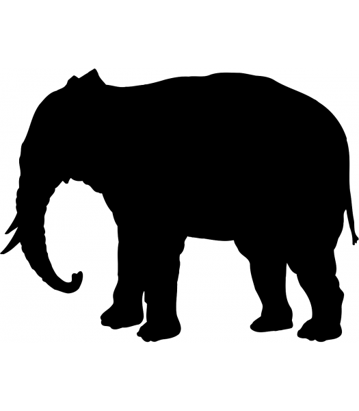Olifant2 - Dieren & Natuur