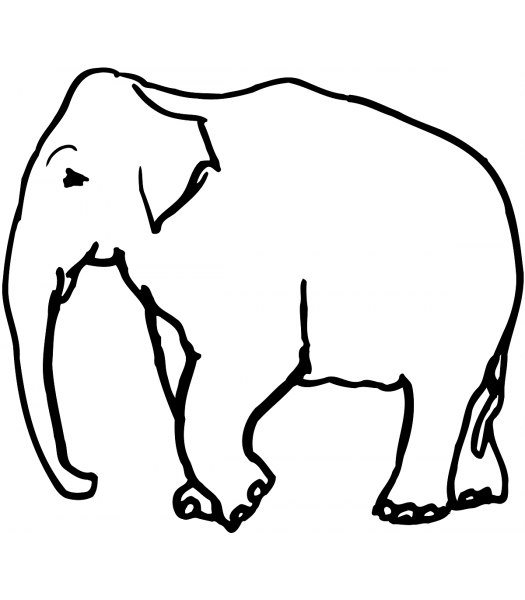 Olifant3 - Dieren & Natuur