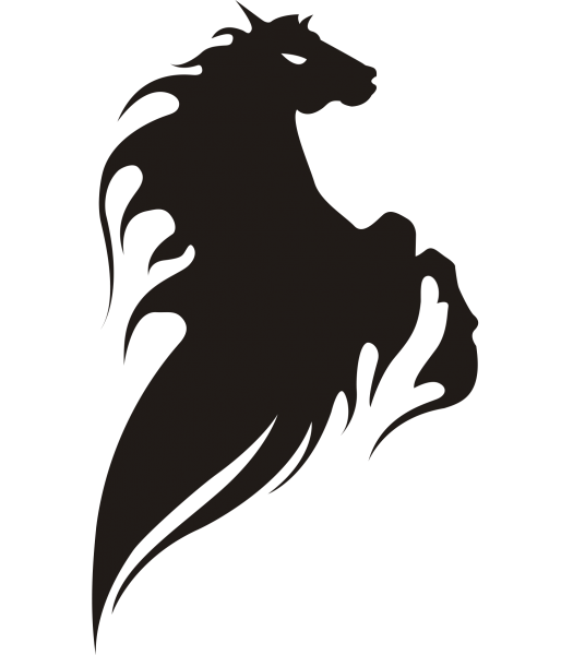 Paard11 - Dieren & Natuur