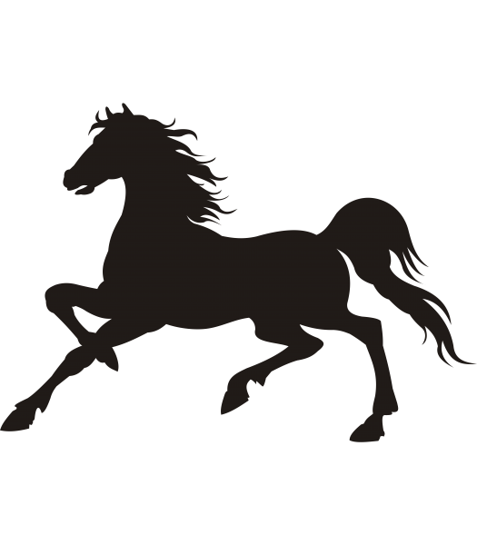 Paard12 - Dieren & Natuur