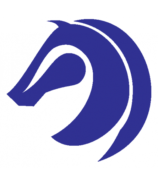 Paard2 - Dieren & Natuur