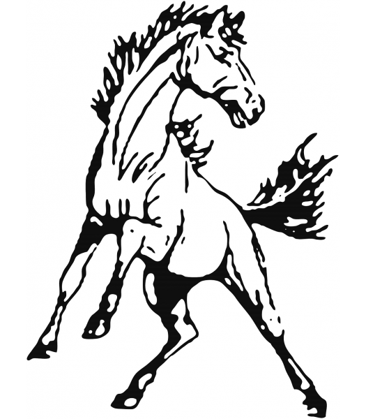 Paard4 - Dieren & Natuur