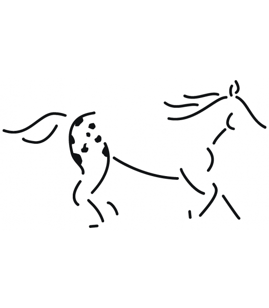 Paard5 - Dieren & Natuur