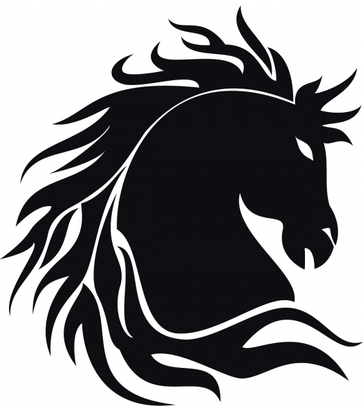 Paard6 - Dieren & Natuur