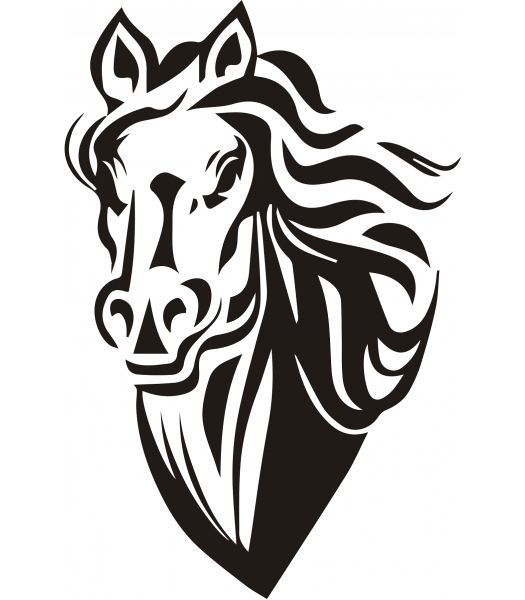 Paard7 - Dieren & Natuur