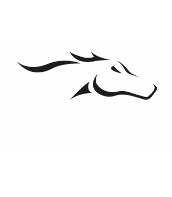Paard8