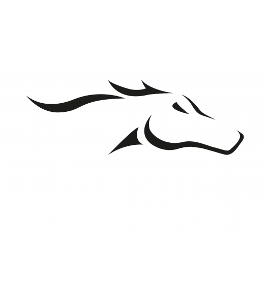 Paard8 - Dieren & Natuur