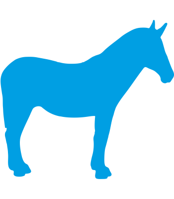 Paard9