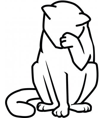 Poes