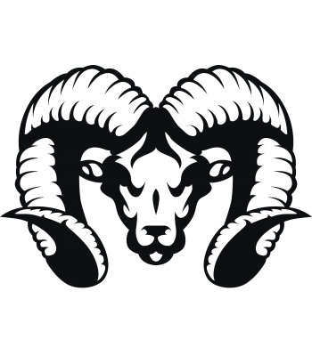 Ram2