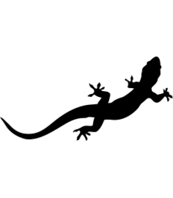 Salamander