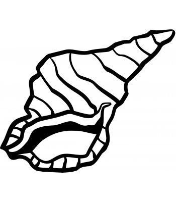 Schelp