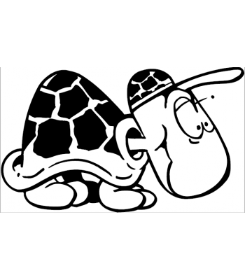 Schildpad3