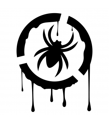 Spin
