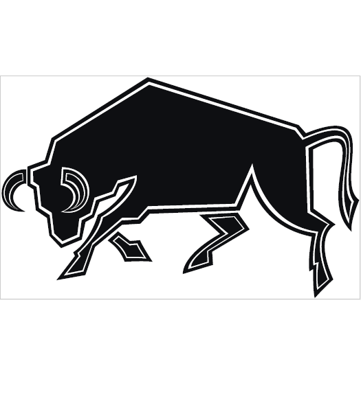 Stier - Dieren & Natuur