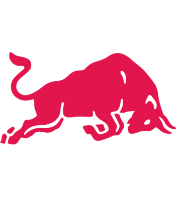 Stier2