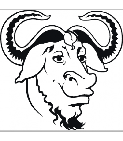 Stier3 - Dieren & Natuur