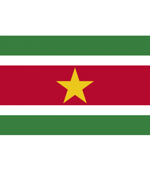 Surinaamse vlag - Vlaggen & Werelddelen