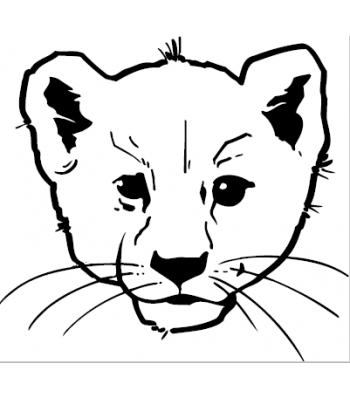 Tijger