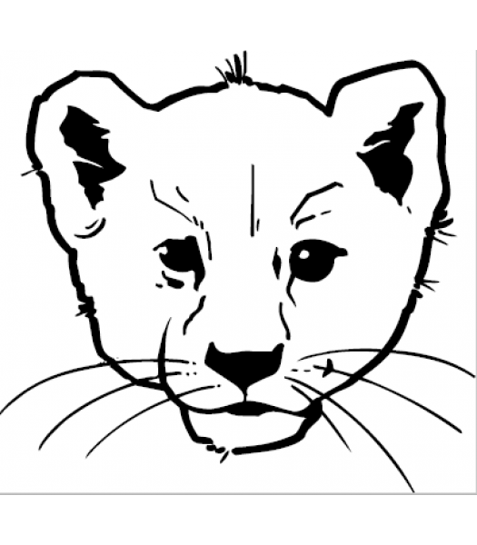 Tijger - Dieren & Natuur