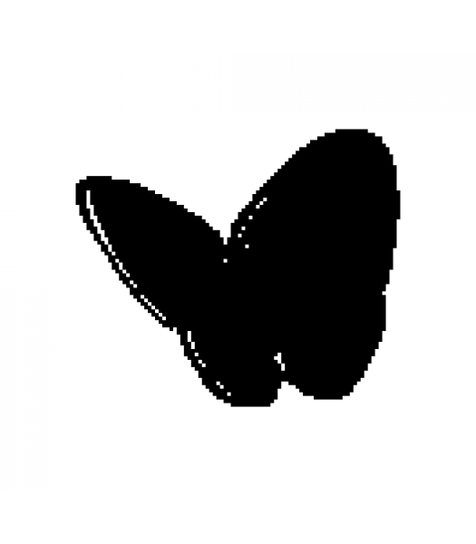 Vlinder - Dieren