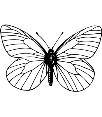 Vlinder3