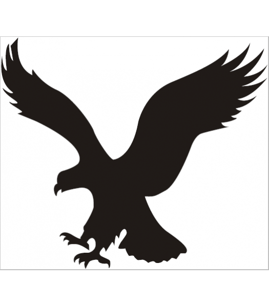 Vogel5 - Dieren & Natuur