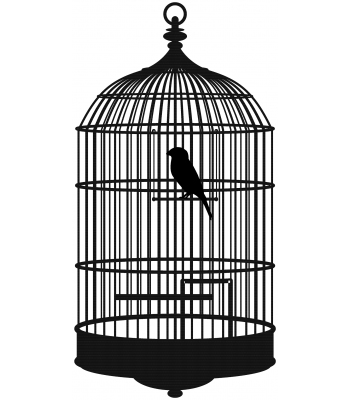 Vogelkooi