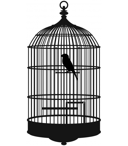 Vogelkooi - Dieren & Natuur