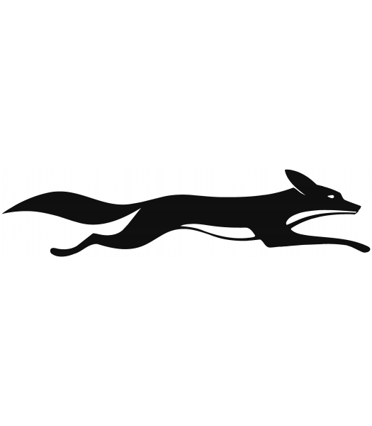 Vos - Dieren & Natuur
