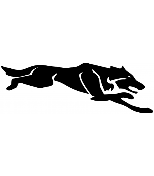 Wolf - Dieren & Natuur