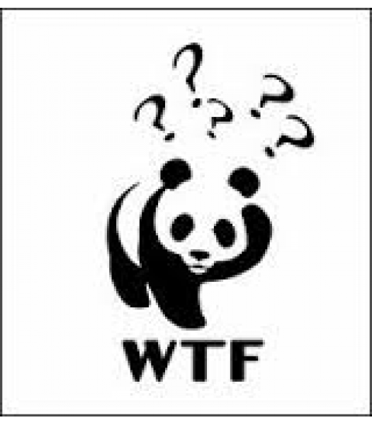 WTF Panda - Funlogo's