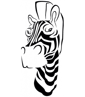 Zebra2