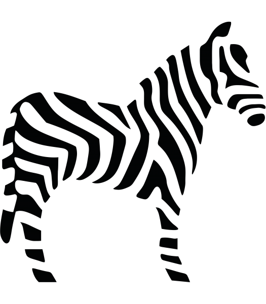 Zebra - Dieren & Natuur