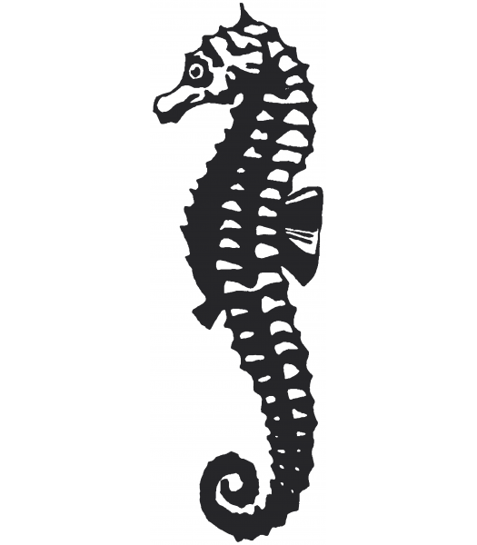 Zeepaard - Dieren & Natuur